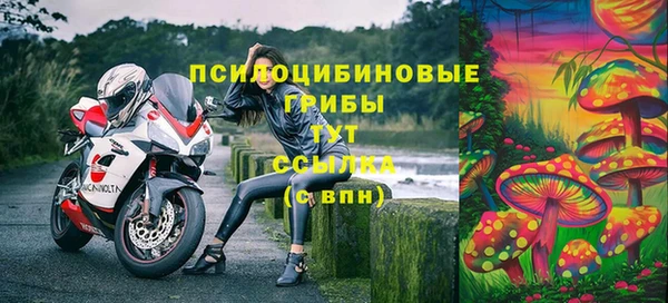 мяу мяу мука Алексеевка