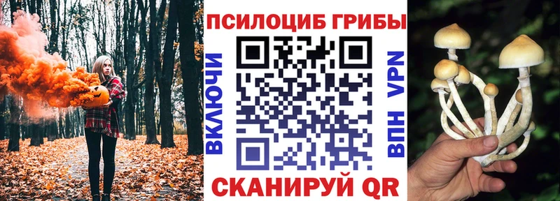 Псилоцибиновые грибы MAGIC MUSHROOMS  купить наркотики сайты  Липки 